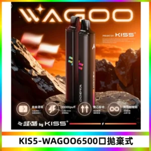 KIS5WAGOO哇酷6500口拋棄式 | 自由混搭雙口味 | 雙芯組合